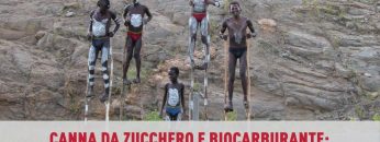 Canna da zucchero e biocarburante il nuovo business spazza via le tribù etiopi