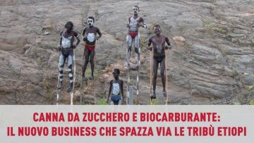 Canna da zucchero e biocarburante il nuovo business spazza via le tribù etiopi
