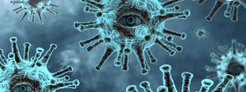 WhatsApp Image 2021-03-18 at 18.54.35