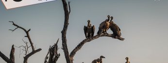 COPERTINA-TG-SOLE-24-232132312