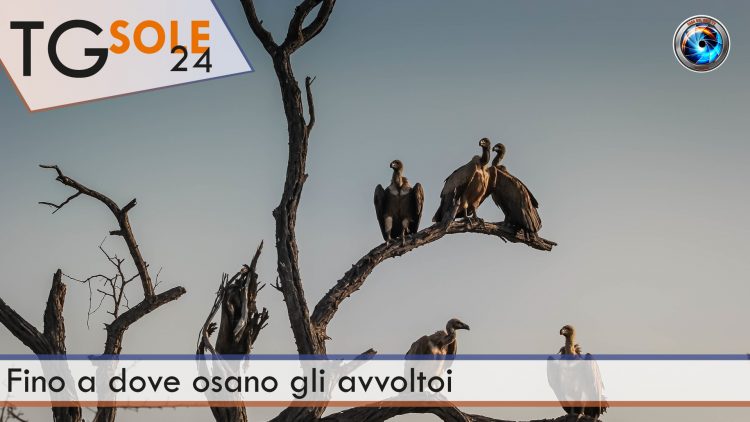 COPERTINA-TG-SOLE-24-232132312