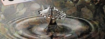 COPERTINA-TG-SOLE-24