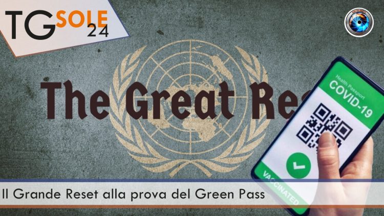 WhatsApp Image 2021-07-19 at 18.23.50