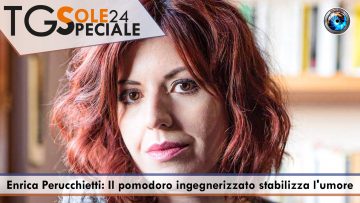 COPERTINA TG SOLE Speciale_ il pomodoro ingegnerizzato stabilizza l’umore