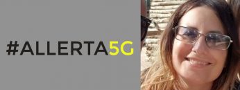 Il TAR boccia la DAD