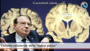 L’effetto collaterale della “mucca pazza”