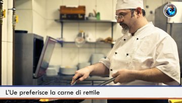 L’Ue preferisce la carne di rettile