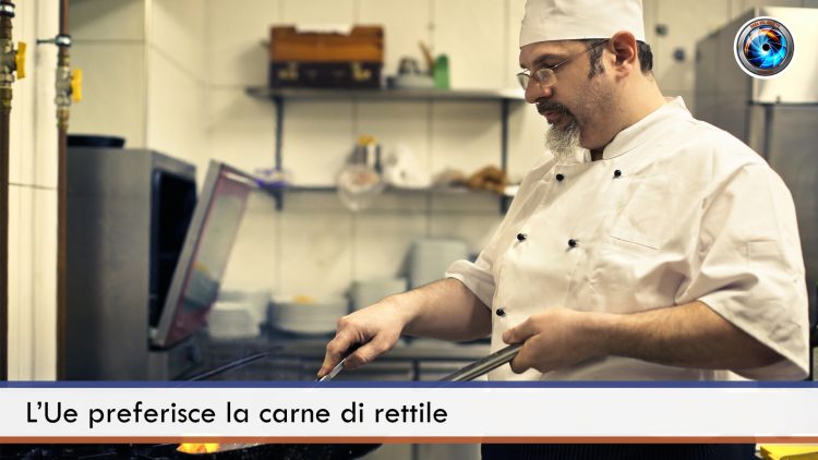 L’Ue preferisce la carne di rettile