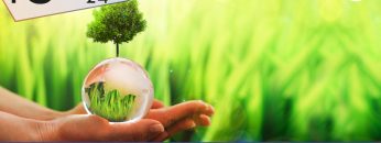 La transizione è liberticida