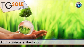 La transizione è liberticida