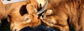 TgSole24_COPERTINA_20220623