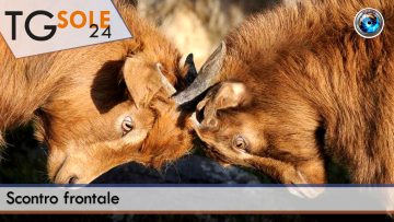 TgSole24_COPERTINA_20220623