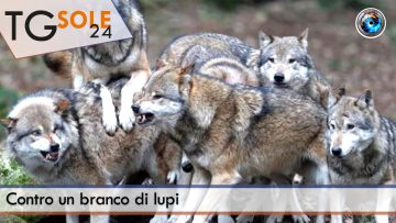 TgSole24_COPERTINA_20220913