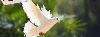 TgSole24_COPERTINA_20221004