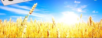 TgSole24_COPERTINA_20221031