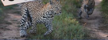 TgSole24_COPERTINA_20230125