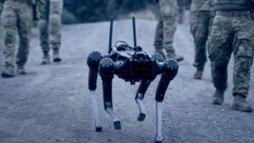 Robocane