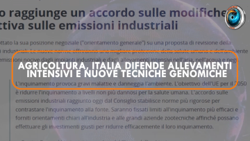 Screenshot 2023-03-24 20.39.11