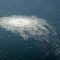 FILE PHOTO: Gas bubbles from the Nord Stream 2 leak reaching surface of the Baltic sea in the area shows disturbance of well over one kilometre  diameter near Bornholm