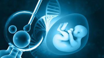 2022_8$largeimg_641019787