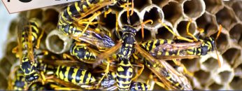 TgSole24_COPERTINA_20230601