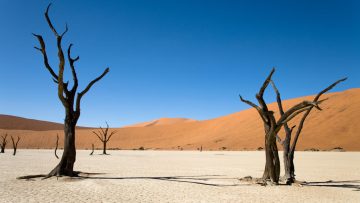 Avoiding-a-climate-lockdown_i1140