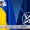 kiev stase