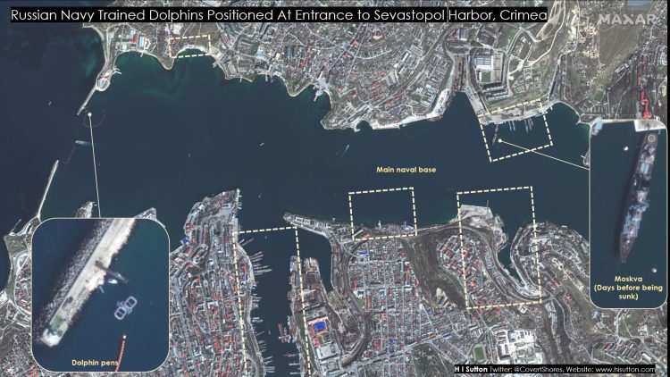 Russian-Navy-Dolphins-In-Sevastopol-Maxar