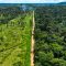 foresta-amazzonica-deforestazione-brasile