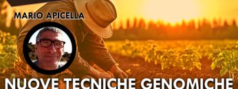 ITW_COPERTINA_20231023_01