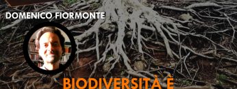 ITW_COPERTINA_20231030_01