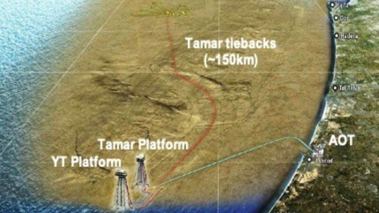 Tamar Field Map