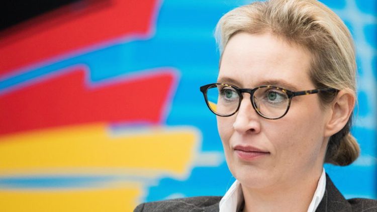 Germania, l’AFD propone la Dexit