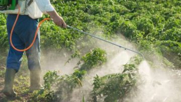 L’agricoltura non è d’élite