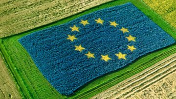 Politiche agricole PAC, contro PAC e contro paccotto