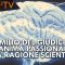 ITW_COPERTINA_Emilio Del Giudice- l’anima passionale della ragione scientifica