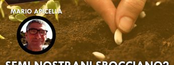 ITW_COPERTINA_20240603_01