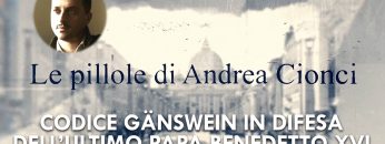 COPERTINA_Andrea Cionci_09_codice Gänswein in difesa dell’ultimo Papa Benedetto XVI