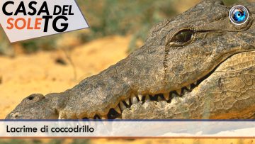 TgSole24_COPERTINA_20240906