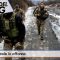 TgSole24_COPERTINA_20241204