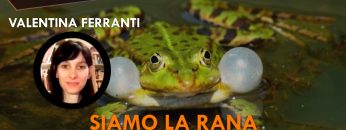 ITW_COPERTINA_20251029_01