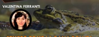 ITW_COPERTINA_20251120_02